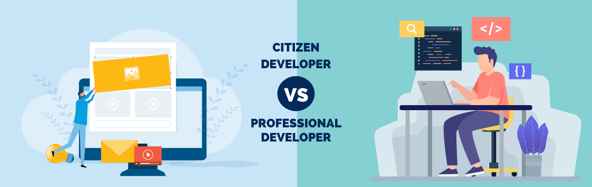 citizen developer vs. professional developer