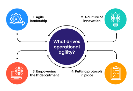 What drives operational agility?