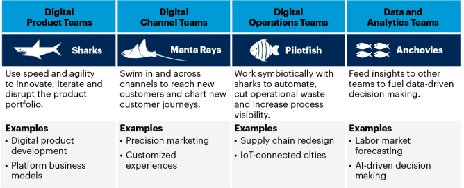 Distributed Fusion Teams