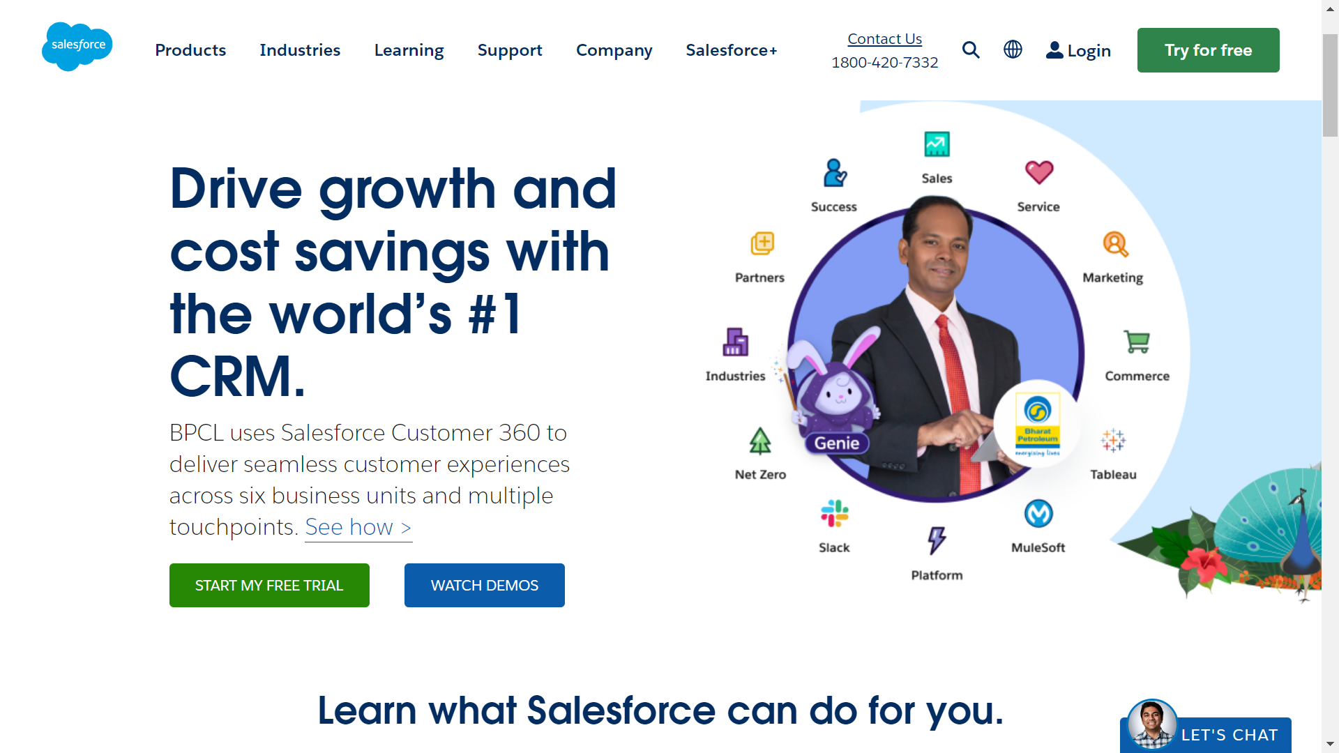 SalesForce Saas Applications
