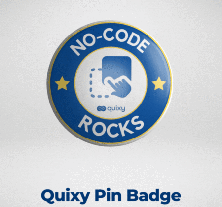 Quixy Pin Badge