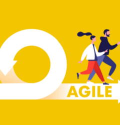 Agile methodology